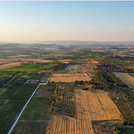 Farm stay Cozzo Del Parroco - Ospitalita Tra I Vigneti Granelli