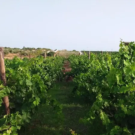 Farm stay Cozzo Del Parroco - Ospitalita Tra I Vigneti