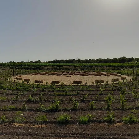 Farm stay Cozzo Del Parroco - Ospitalita Tra I Vigneti *