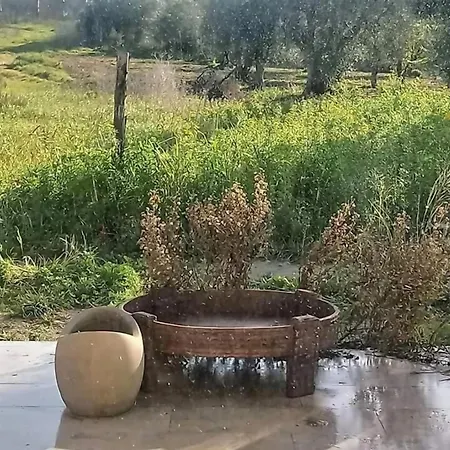 Cozzo Del Parroco - Ospitalita Tra I Vigneti Feriegård Noto