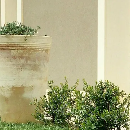 Cozzo Del Parroco - Ospitalita Tra I Vigneti Feriegård *